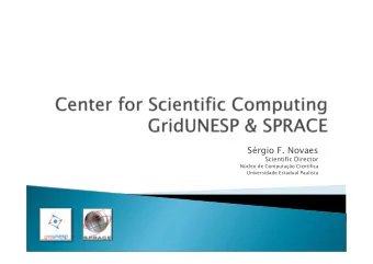 Srgio F. Novaes  Scientific Director  Ncleo de Computao Cientfica  Universidade Estadual