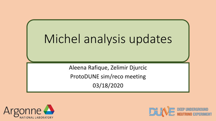 michel analysis updates