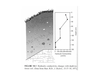 Forest area, 1760-2000  Return  * Since 1900, forest area in the  1,100  U.S. has remained