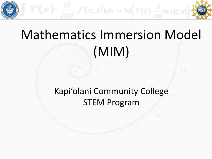 mathematics immersion model