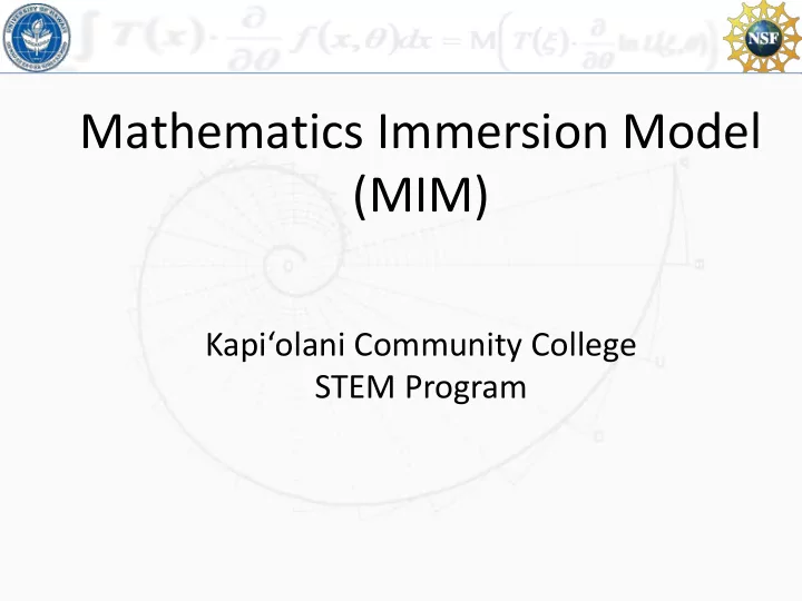 mathematics immersion model