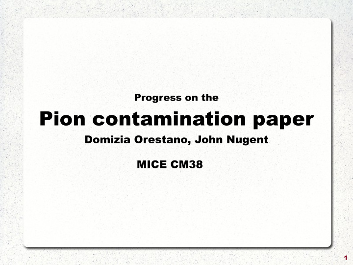 pion contamination paper