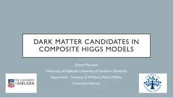 COMPOSITE HIGGS MODELS  Daniel Murnane  University of Adelaide, University of Southern Denmark