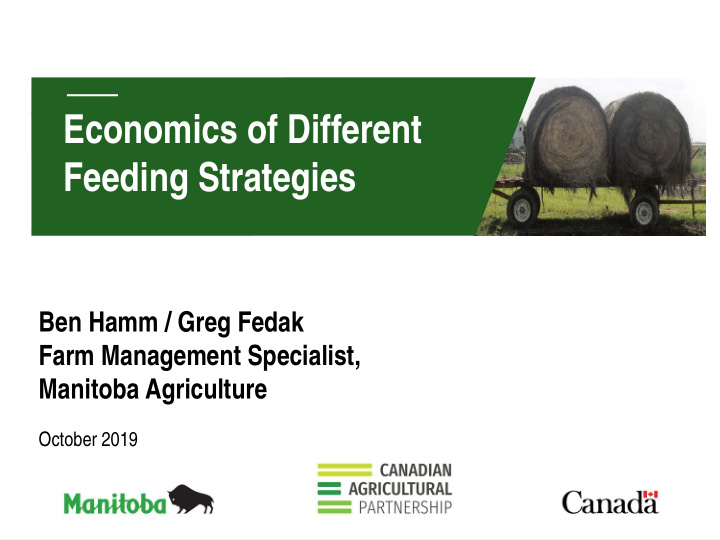 economics of different feeding strategies