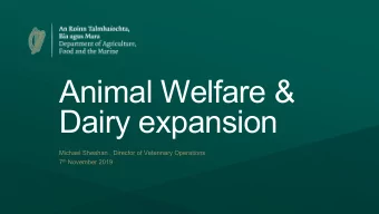 Animal Welfare &amp;  Dairy expansion  Michael Sheahan , Director of Veterinary Operations 7 th