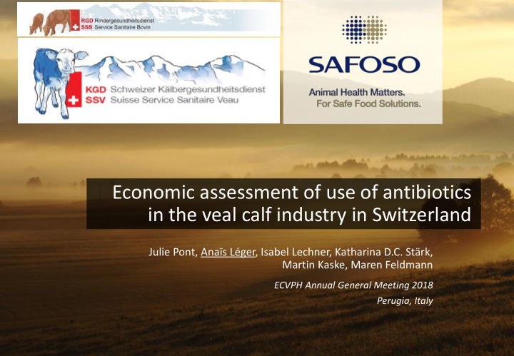 economic assessment of use of antibiotics