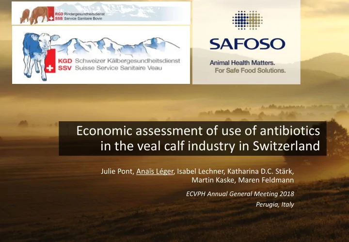 economic assessment of use of antibiotics