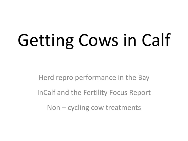 getting cows in calf