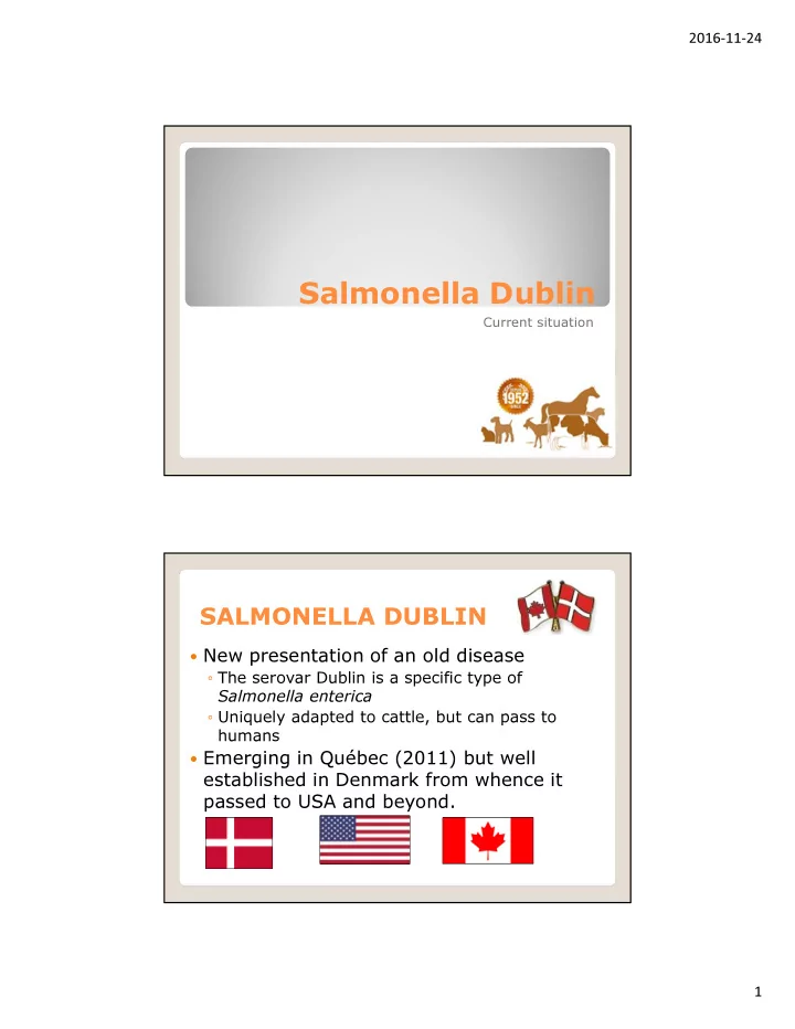 salmonella dublin