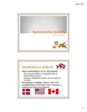 Salmonella Dublin  Current situation  SALMONELLA DUBLIN  New presentation of an old disease