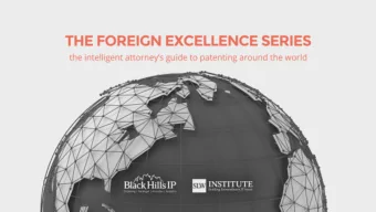 Meet the Presenters  Ann McCrackin  Daisy Wang  President | Black Hills IP  Senior Counselor | Lee