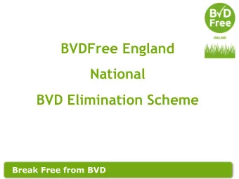 BVDFree England  National  BVD Elimination Scheme  Break Free from BVD  Contents  Bovine Viral