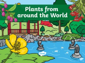 Plants From around the World  North America  Asia  Europe  Africa  South America  Australasia