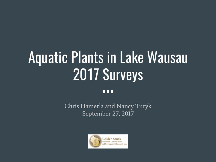 aquatic plants in lake wausau