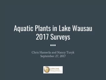 Aquatic Plants in Lake Wausau  2017 Surveys  Chris Hamerla and Nancy Turyk  September 27, 2017