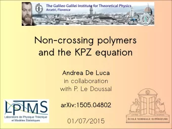 Non-crossing polymers  and the KPZ equation  Andrea De Luca  in collaboration  with P. Le Doussal
