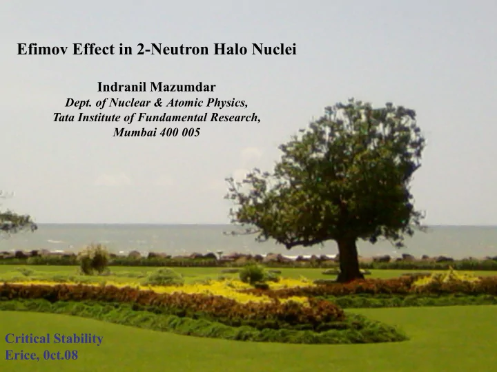 efimov effect in 2 neutron halo nuclei