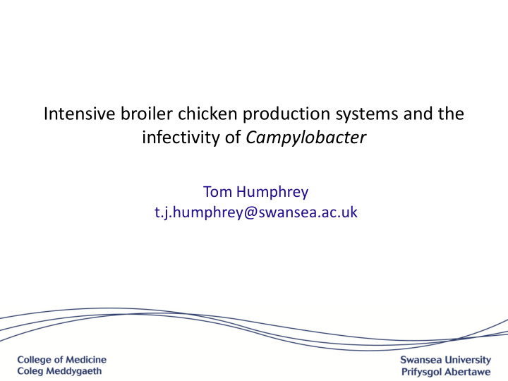 intensive broiler chicken production systems and the