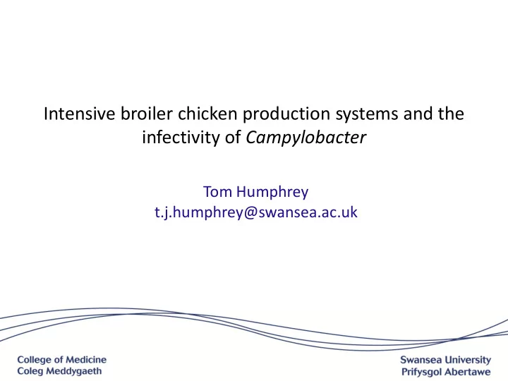 intensive broiler chicken production systems and the