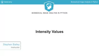 Intensity Values  Stephen Bailey  Instructor  DataCamp  Biomedical Image Analysis in Python  Pixels