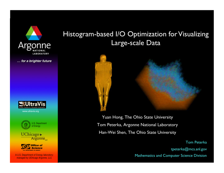 histogram based i o optimization for visualizing large