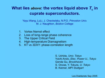 What lies above : the vortex liquid above T c in  cuprate superconductors. Yayu Wang, LuLi, J.