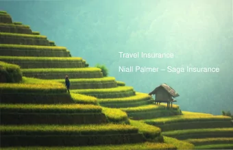 Travel Insurance Niall Palmer  Saga Insurance  Overview    About Saga    Types of Travel