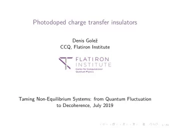 Photodoped charge transfer insulators  Denis Gole  CCQ, Flatiron Institute  Taming