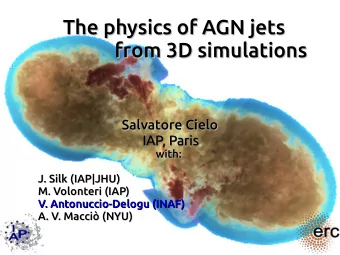 The physics  The physics of AGN jets  of AGN jets  from 3D simulations  from 3D simulations