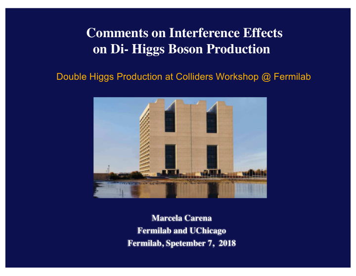 comments on interference effects on di higgs boson