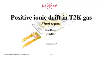 Positive ionic drift in T2K gas  Final report  Fred Hartjes  NIKHEF  Nikhef/Bonn LepCol meeting