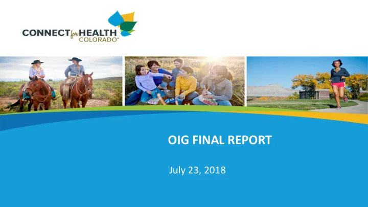oig final report