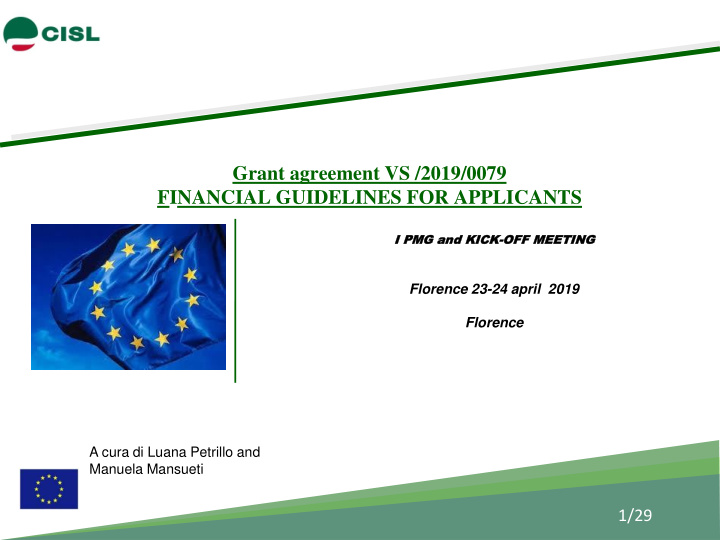 grant agreement vs 2019 0079 financial guidelines for