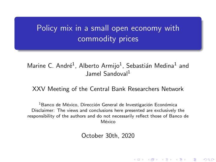 policy mix in a small open economy with commodity prices