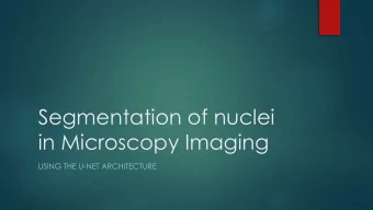 Segmentation of nuclei  in Microscopy Imaging  USING THE U-NET ARCHITECTURE  Sonja Aits  Queen