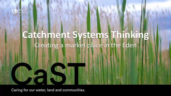catchment systems thinking