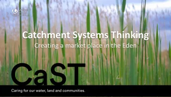 Catchment Systems Thinking  Creating a market place in the Eden  United Utilities  MORE THAN JUST