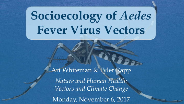 socioecology of aedes fever virus vectors