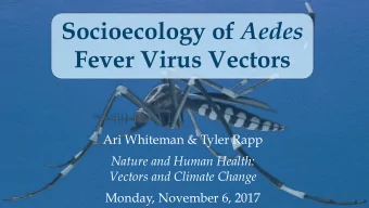 Socioecology of Aedes Fever Virus Vectors  Ari Whiteman &amp; Tyler Rapp  Nature and Human Health: