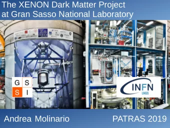 The XENON Dark Matter Project  at Gran Sasso National Laboratory  Andrea Molinario