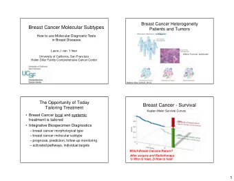 Breast Cancer Molecular Subtypes  Patients and Tumors Between Patients: subtypes  How to use