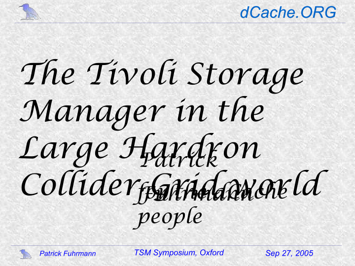 the tivoli storage manager in the large hardron