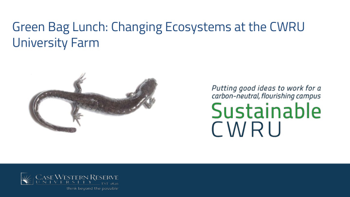 green bag lunch changing ecosystems at the cwru