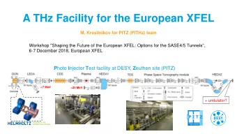 A THz Facility for the European XFEL  M. Krasilnikov for PITZ (PITHz) team Workshop &quot;Shaping