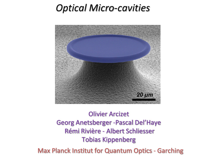 optical micro cavities