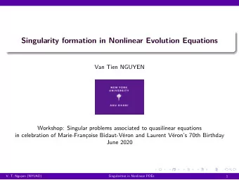 Singularity formation in Nonlinear Evolution Equations  Van Tien NGUYEN  Workshop: Singular