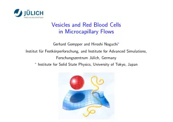 Vesicles and Red Blood Cells  in Microcapillary Flows Gerhard Gompper and Hiroshi Noguchi