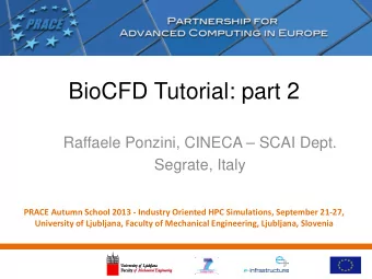 BioCFD Tutorial: part 2  Raffaele Ponzini, CINECA  SCAI Dept.  Segrate, Italy  PRACE Autumn