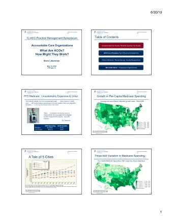 6/30/10  Lieberman Consulting  Lieberman Consulting  Inc  Inc  Table of Contents IL-ACC Practice