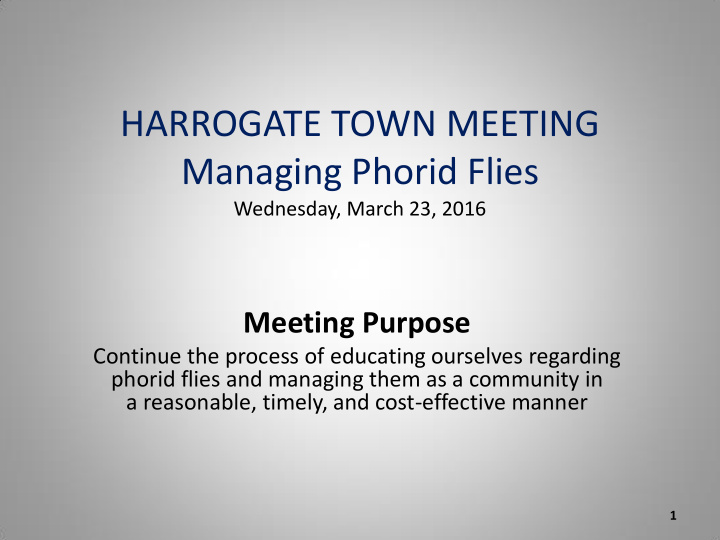 harrogate town meeting managing phorid flies